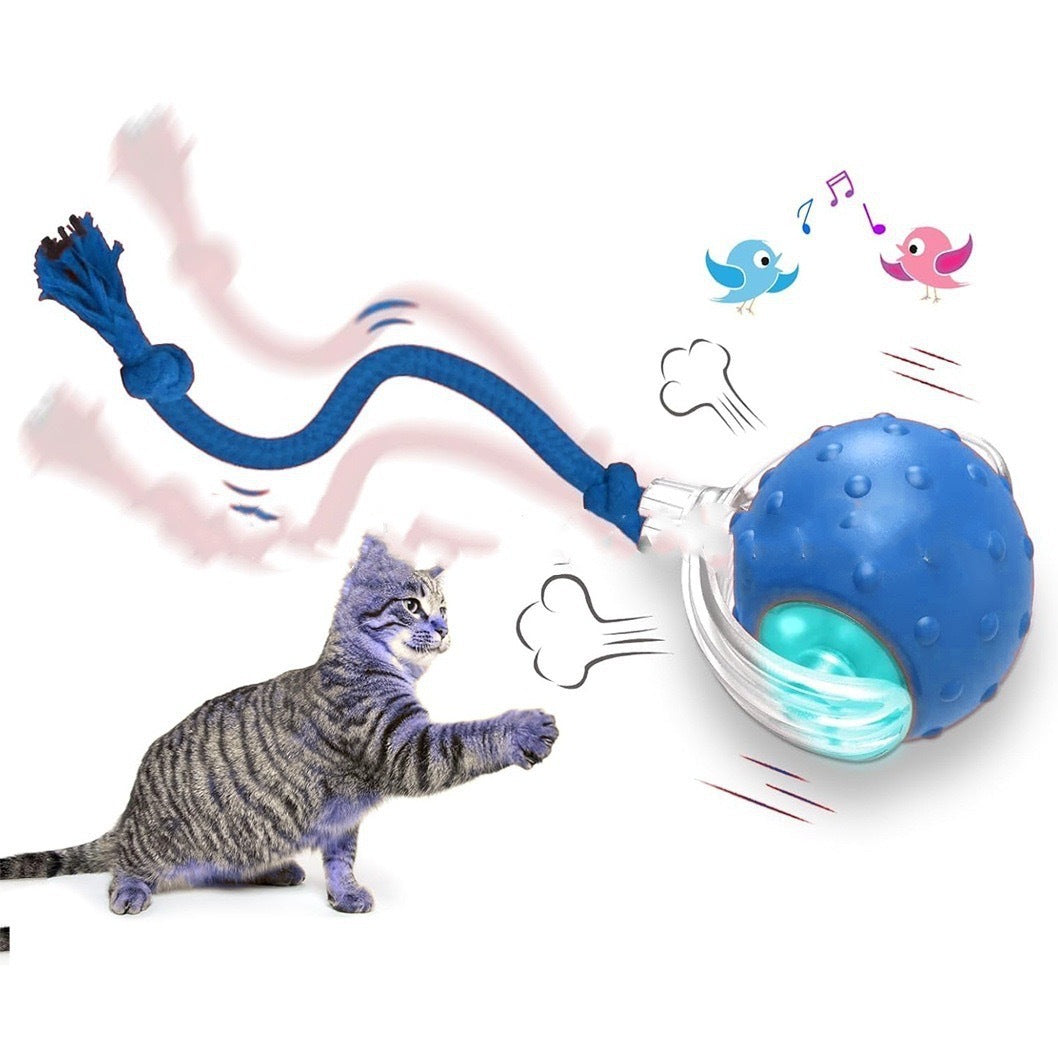 Cat Toys