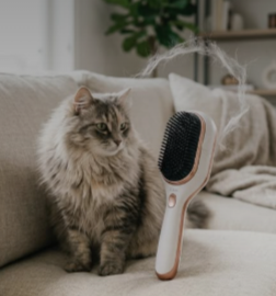 Cat Grooming