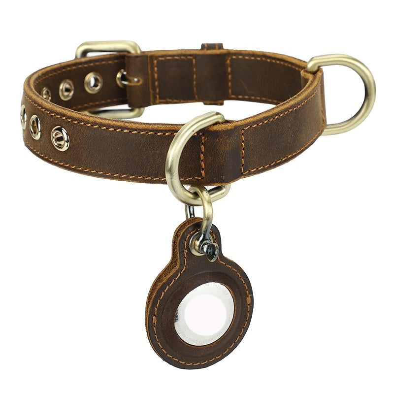 Dog Leashes & Collars