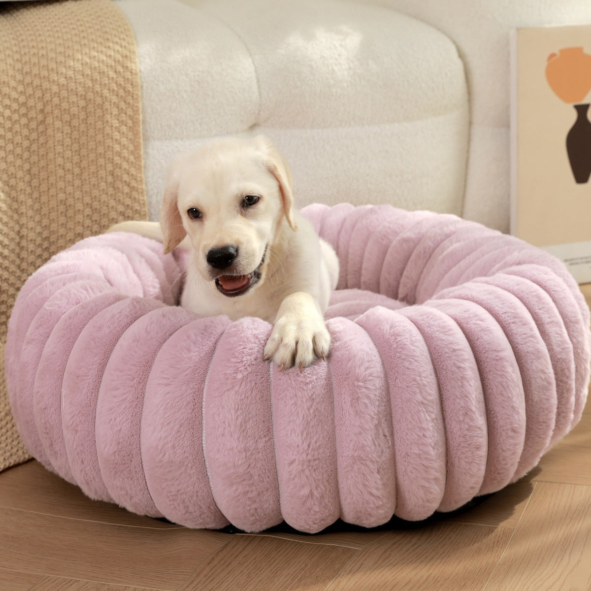 Dog Beds