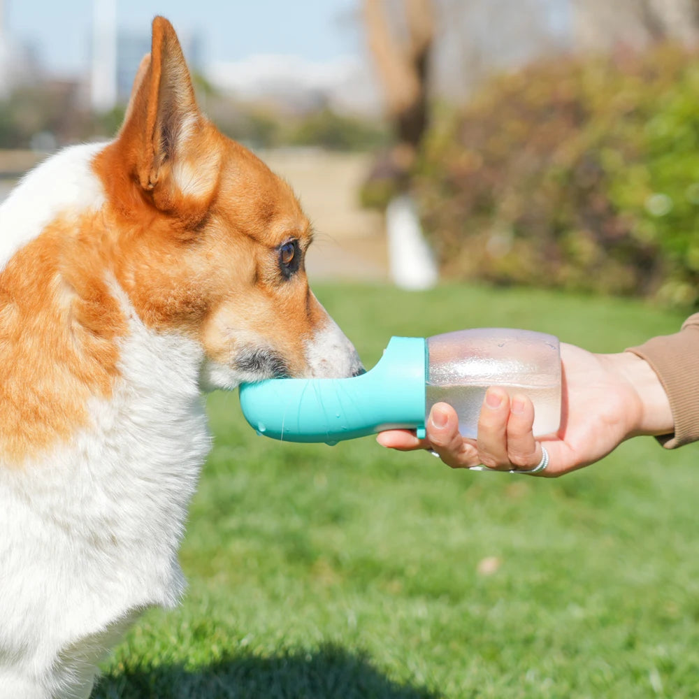 Pet Dog Water Bottle 300ML Puppy Drinking Bowls