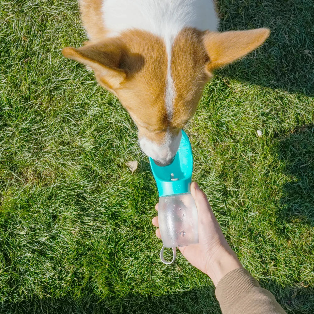 Pet Dog Water Bottle 300ML Puppy Drinking Bowls
